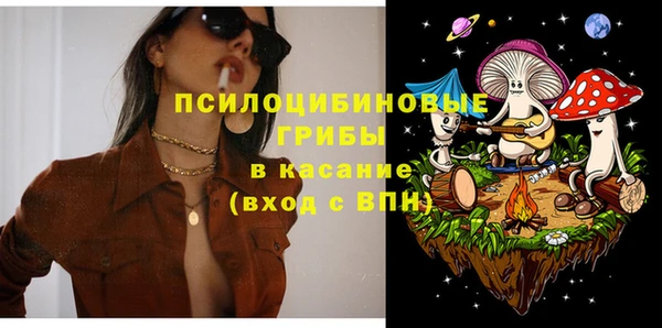 дурь Алзамай