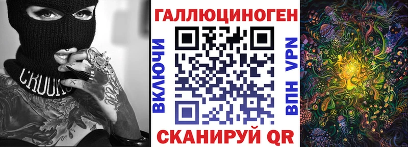 blacksprut ссылка Уяр Галлюциногенные грибы Psilocybine cubensis